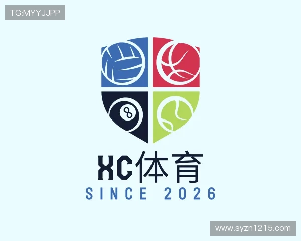 关于XC网页版入口